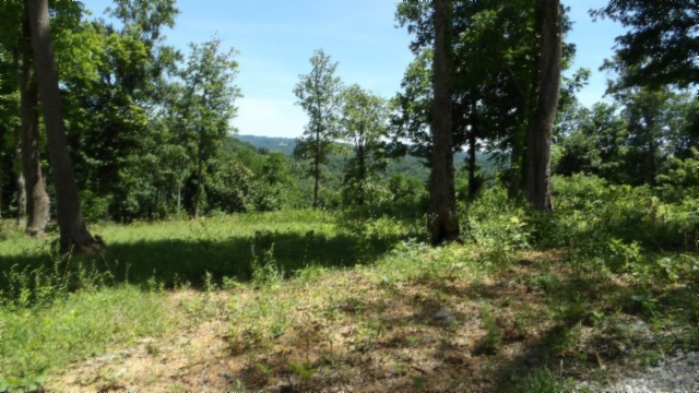 0 Rock Fish Lane Property Photo 7