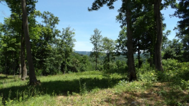 0 Rock Fish Lane Property Photo 8