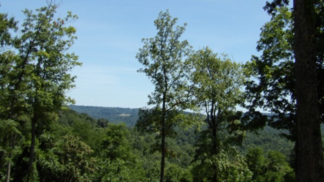 0 Rock Fish Lane Property Photo 9