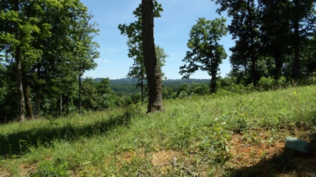 0 Rock Fish Lane Property Photo 10