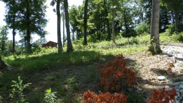 0 Rock Fish Lane Property Photo 11