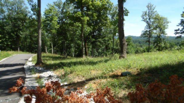 0 Rock Fish Lane Property Photo 12