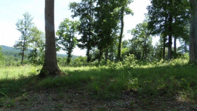 0 Rock Fish Lane Property Photo 13