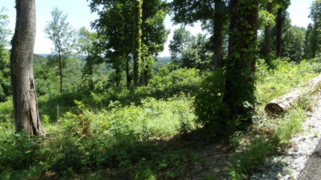 0 Rock Fish Lane Property Photo 14