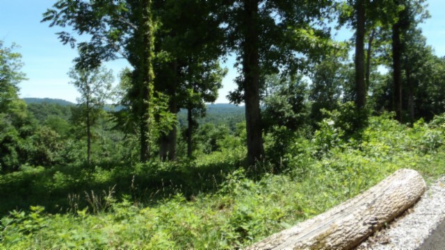 0 Rock Fish Lane Property Photo 15
