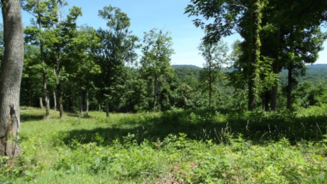 0 Rock Fish Lane Property Photo 16