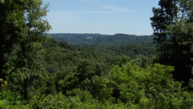 0 Rock Fish Lane Property Photo 17