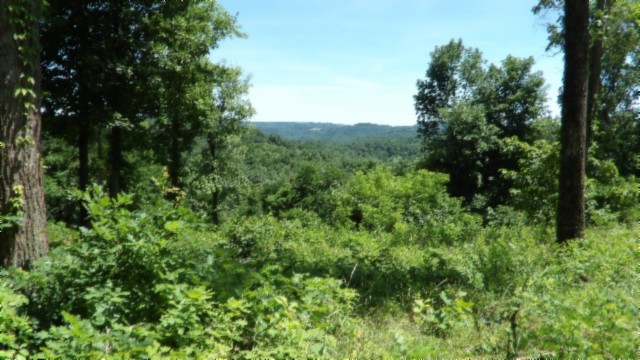 0 Rock Fish Lane Property Photo 18