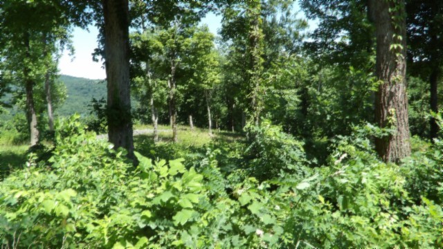 0 Rock Fish Lane Property Photo 19