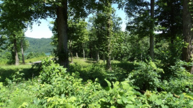 0 Rock Fish Lane Property Photo 21