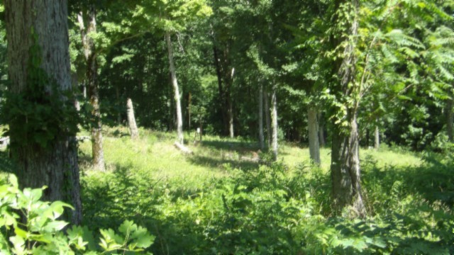 0 Rock Fish Lane Property Photo 22