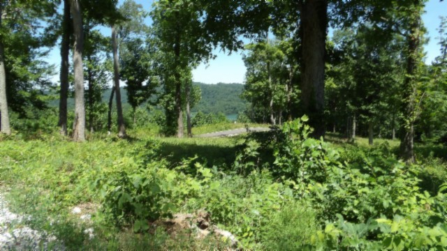 0 Rock Fish Lane Property Photo 23
