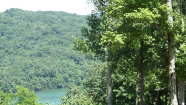 0 Rock Fish Lane Property Photo 25