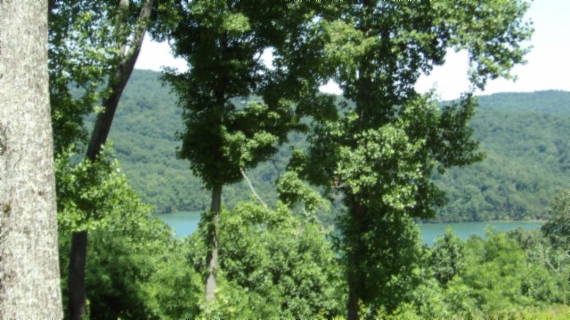 0 Rock Fish Lane Property Photo 31