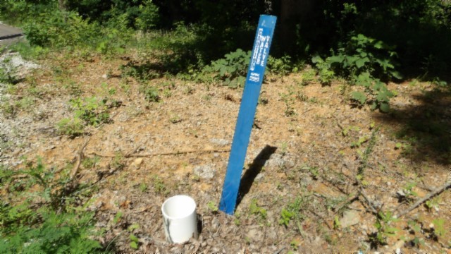 0 Rock Fish Lane Property Photo 40