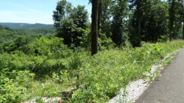 0 Rock Fish Lane Property Photo 43