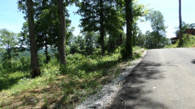 0 Rock Fish Lane Property Photo 46
