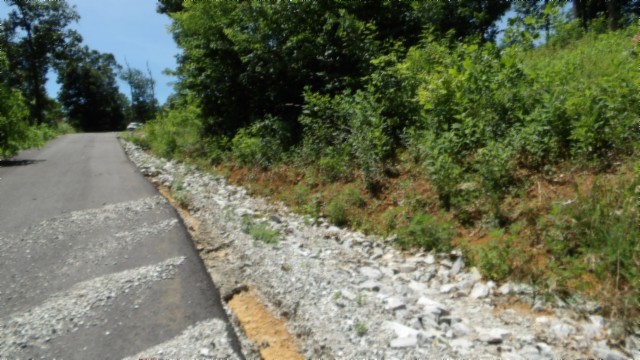 0 Rock Fish Lane Property Photo 48