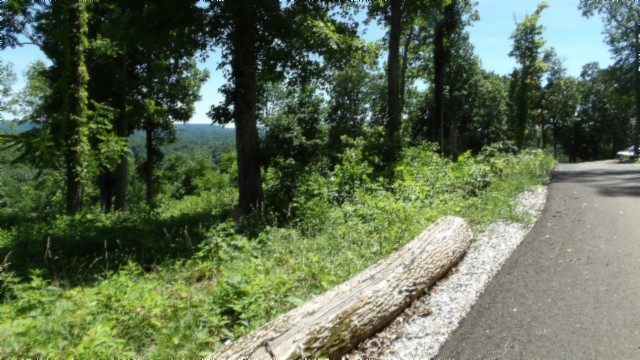 0 Rock Fish Lane Property Photo 49