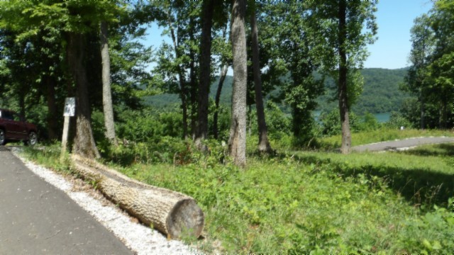 0 Rock Fish Lane Property Photo 50