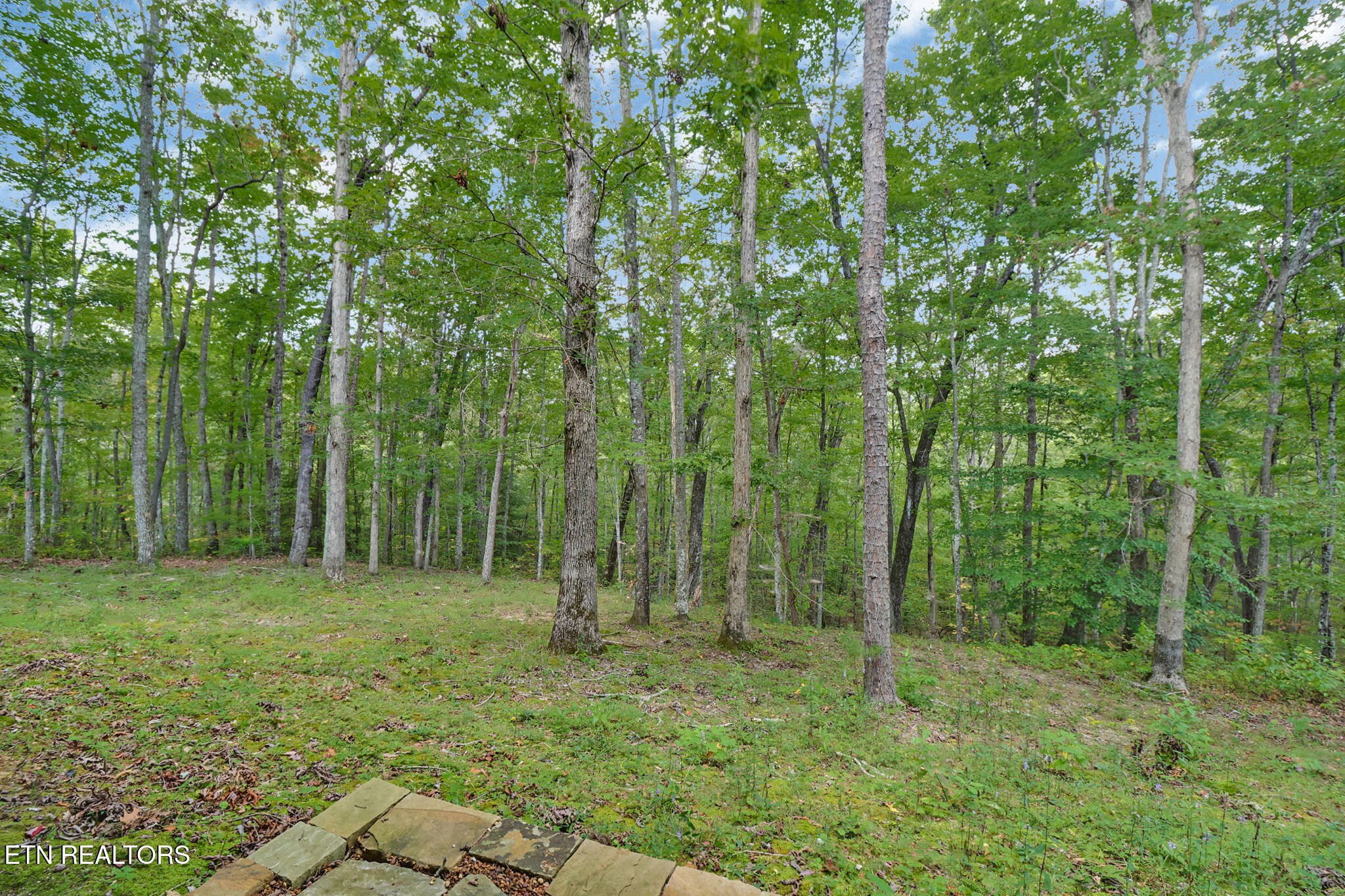 1150 Grandview Way Property Photo 49
