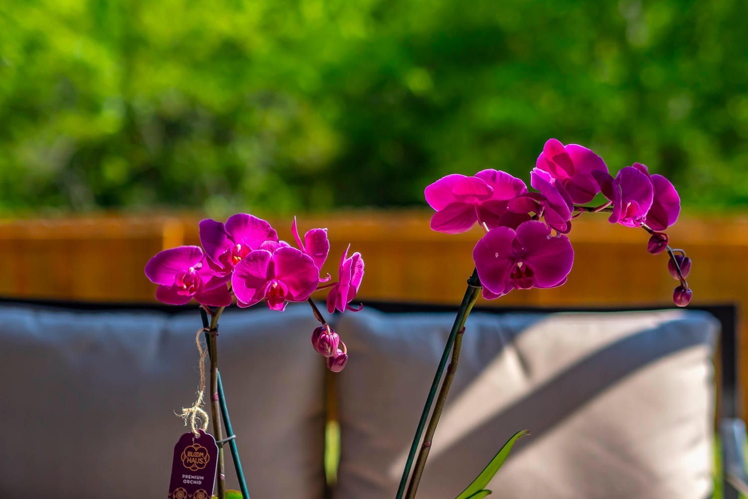 1060 Solomon Ln Property Photo 30