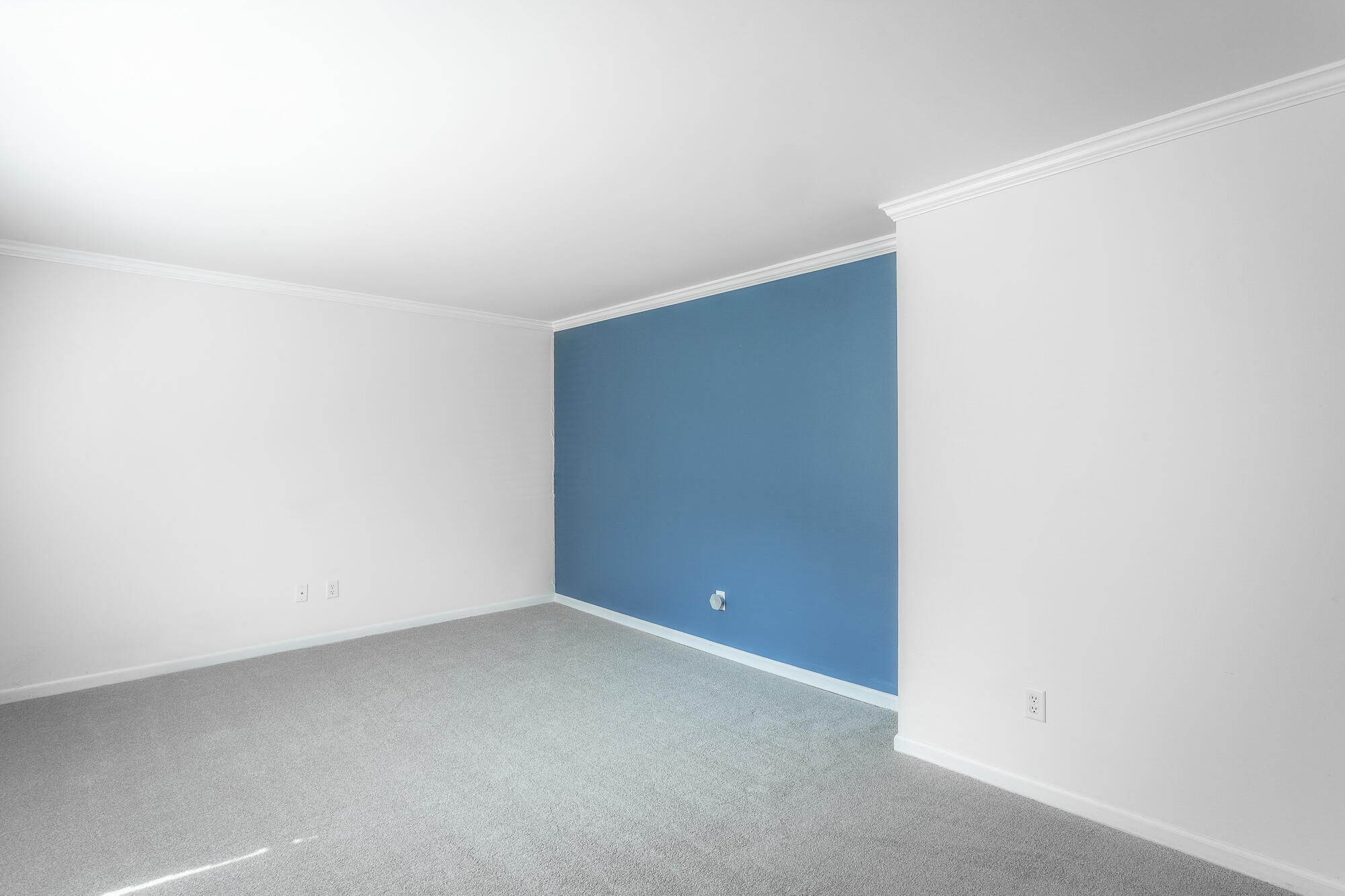 743 Ashley Forest Drive Property Photo 4