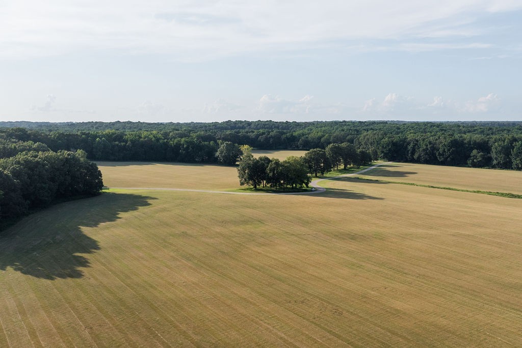 1771 Dancyville Eurekaton Rd Property Photo 29
