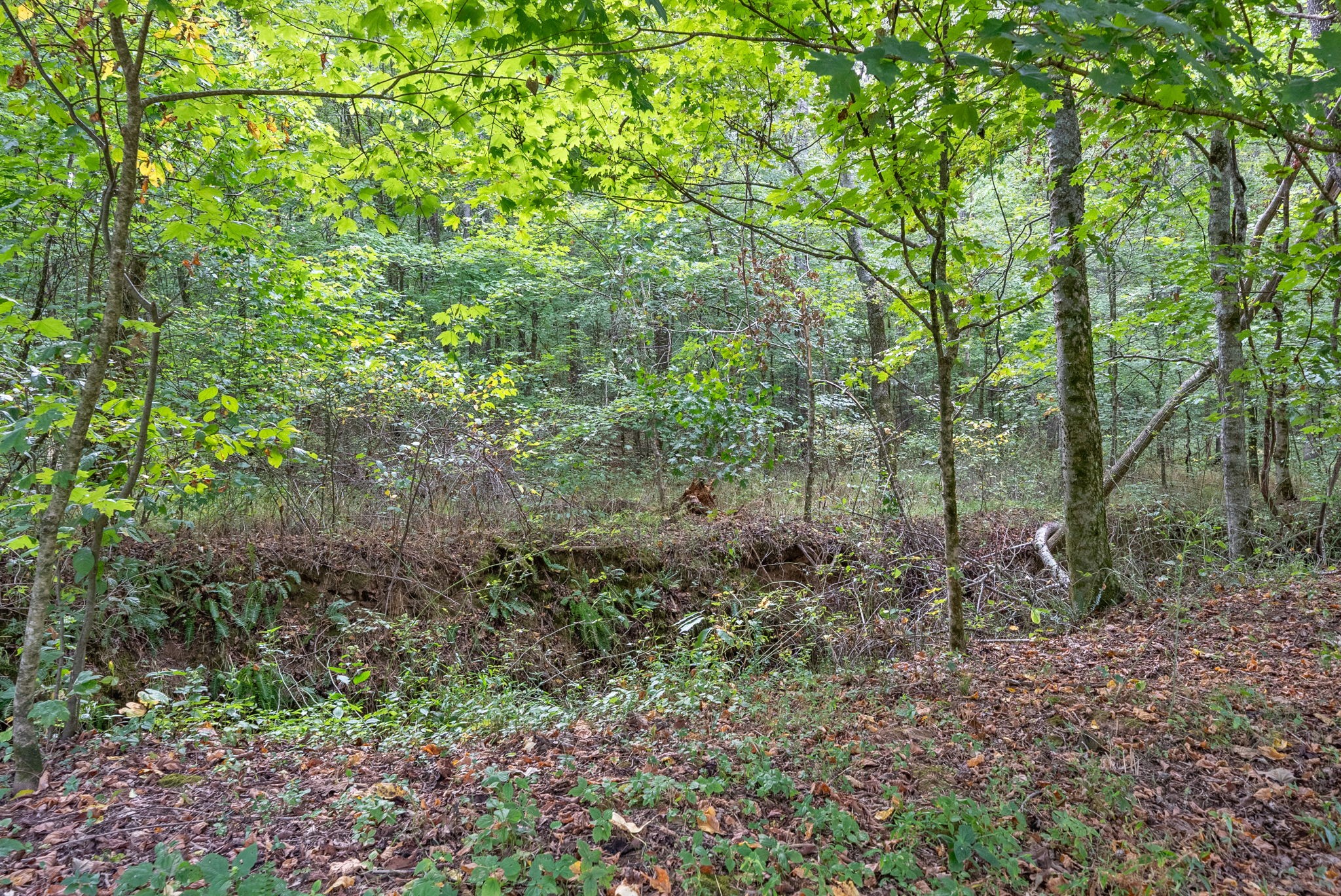 1640 Harvill Road Property Photo 67