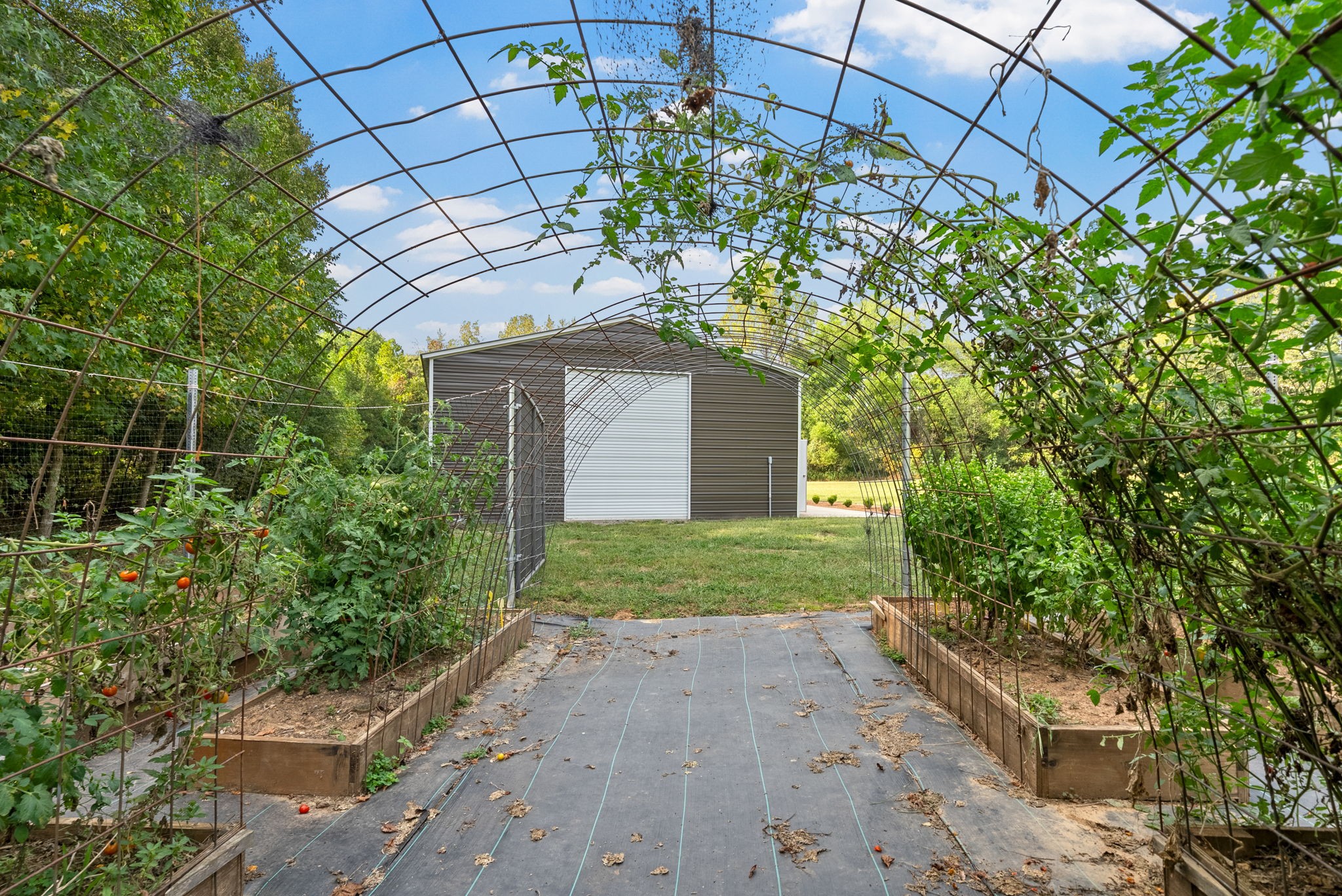 1640 Harvill Road Property Photo 74