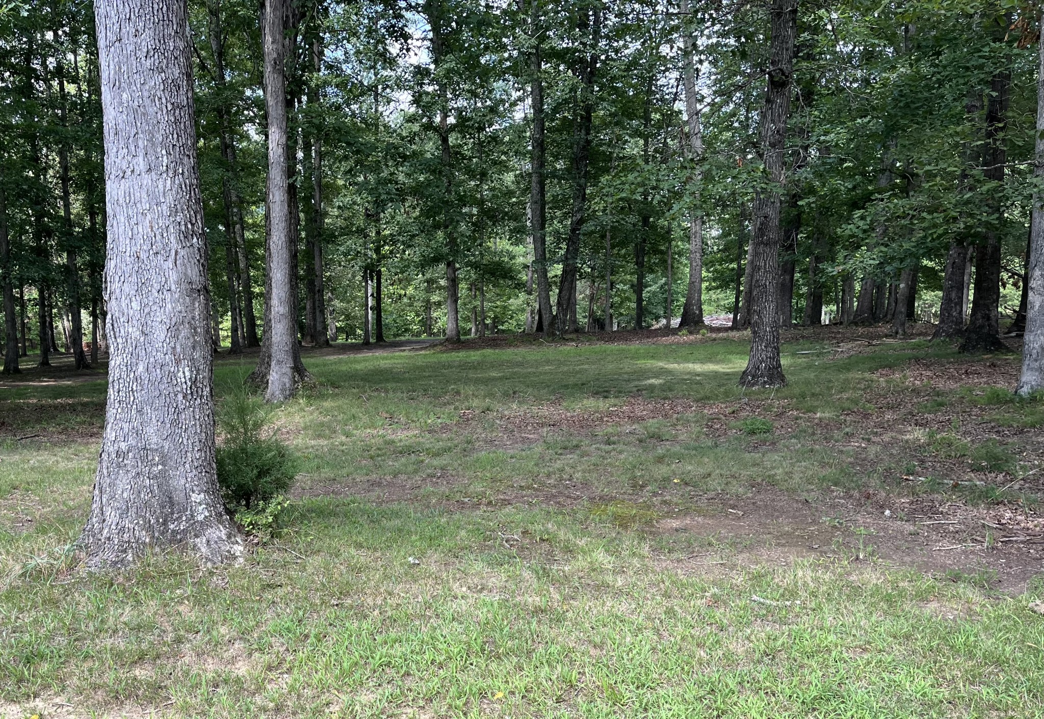 206 Blackberry Farm Rd, W Property Photo 1