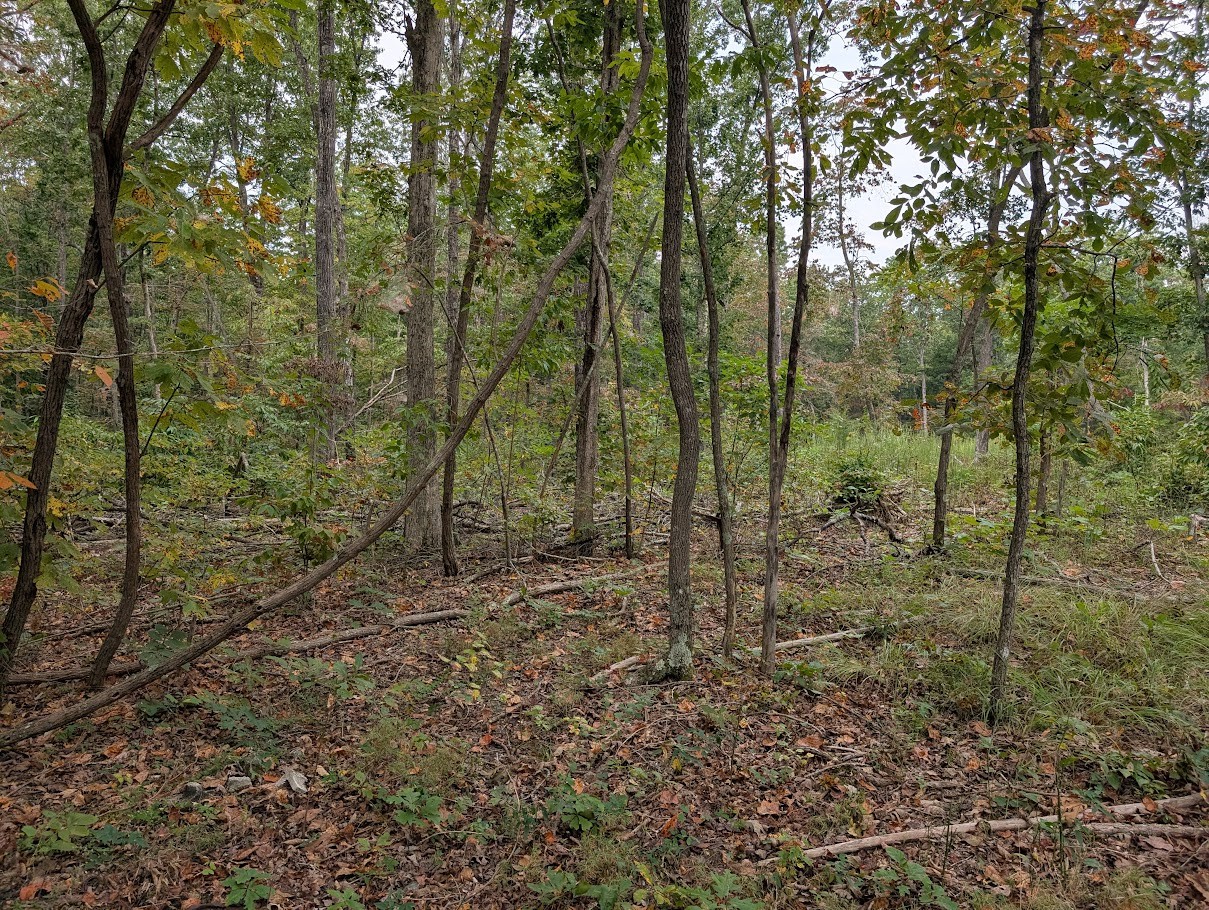 0 Deer Run Rd Property Photo 5