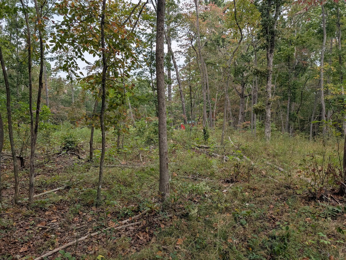 0 Deer Run Rd Property Photo 6