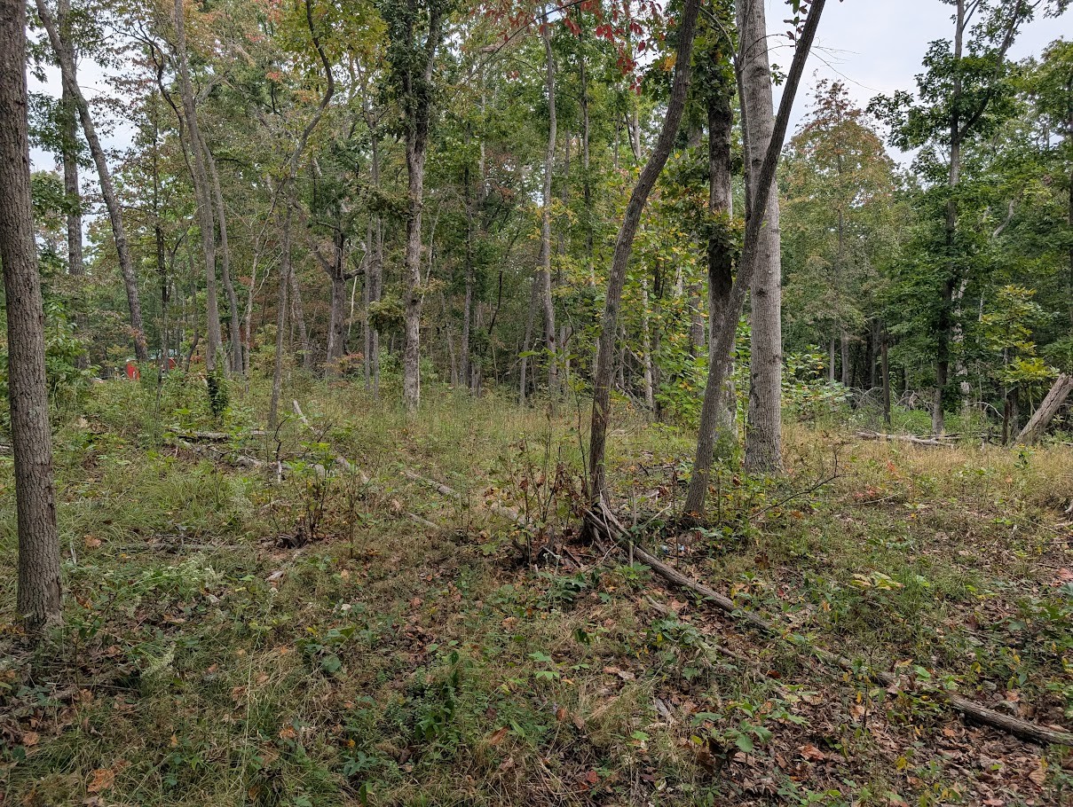 0 Deer Run Rd Property Photo 7