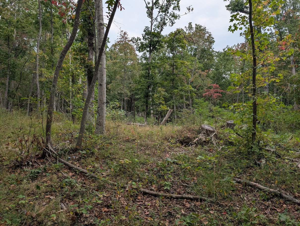 0 Deer Run Rd Property Photo 8