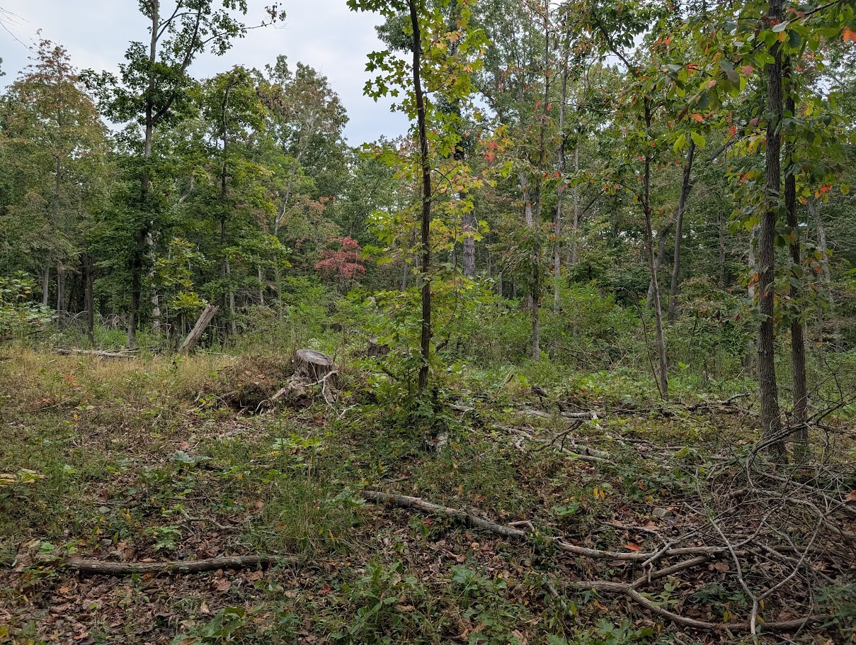 0 Deer Run Rd Property Photo 9