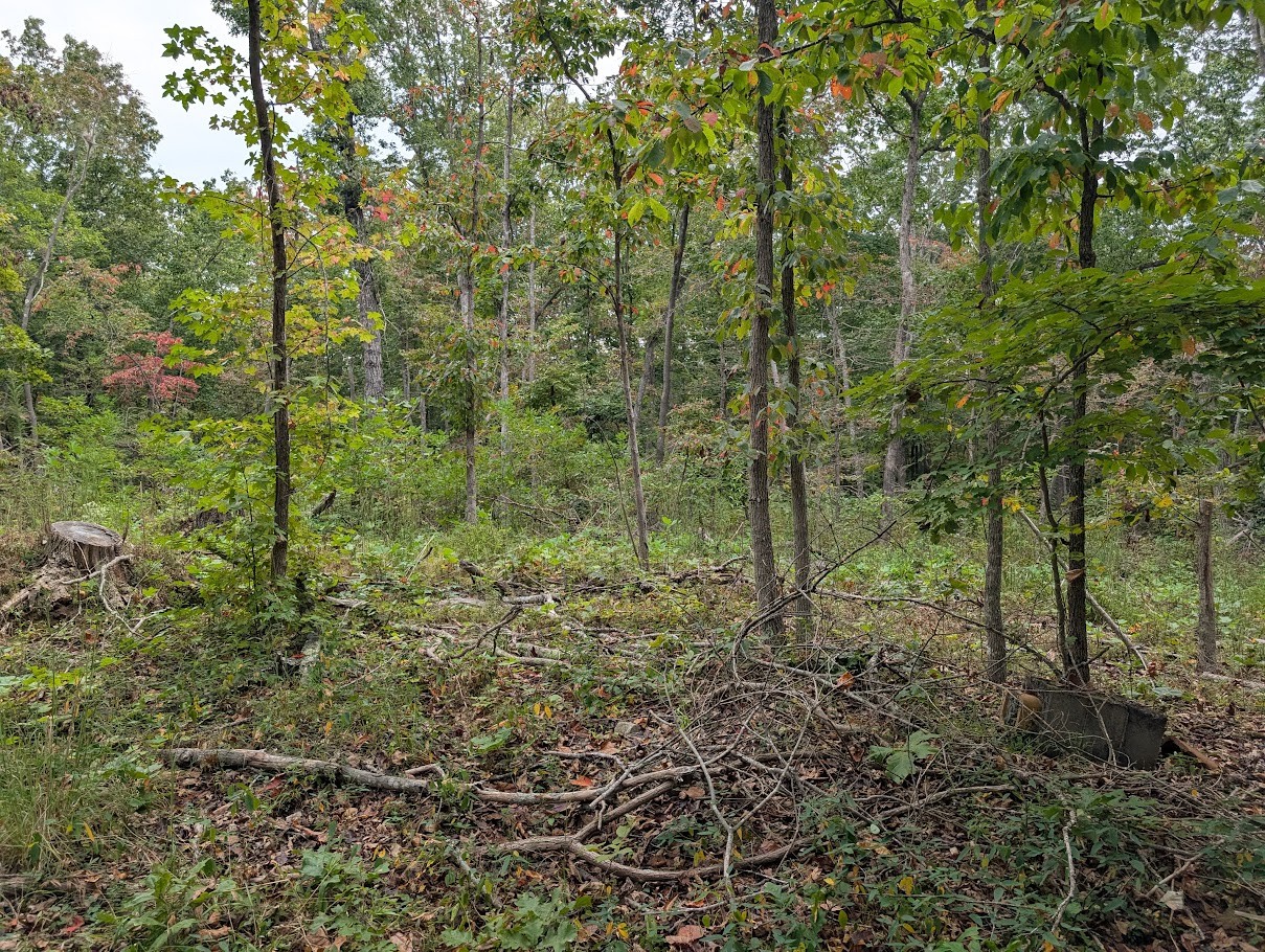0 Deer Run Rd Property Photo 10