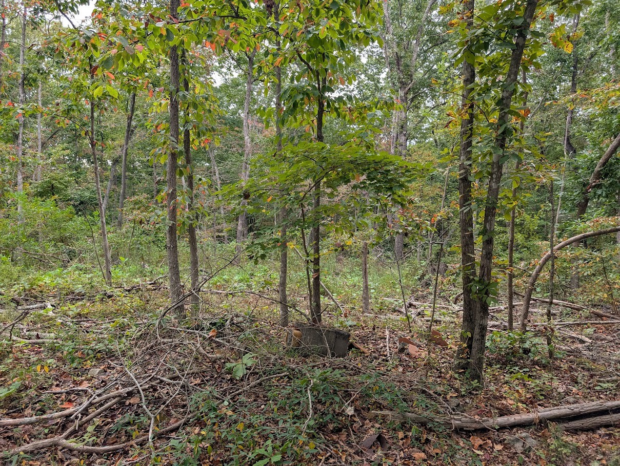 0 Deer Run Rd Property Photo 11