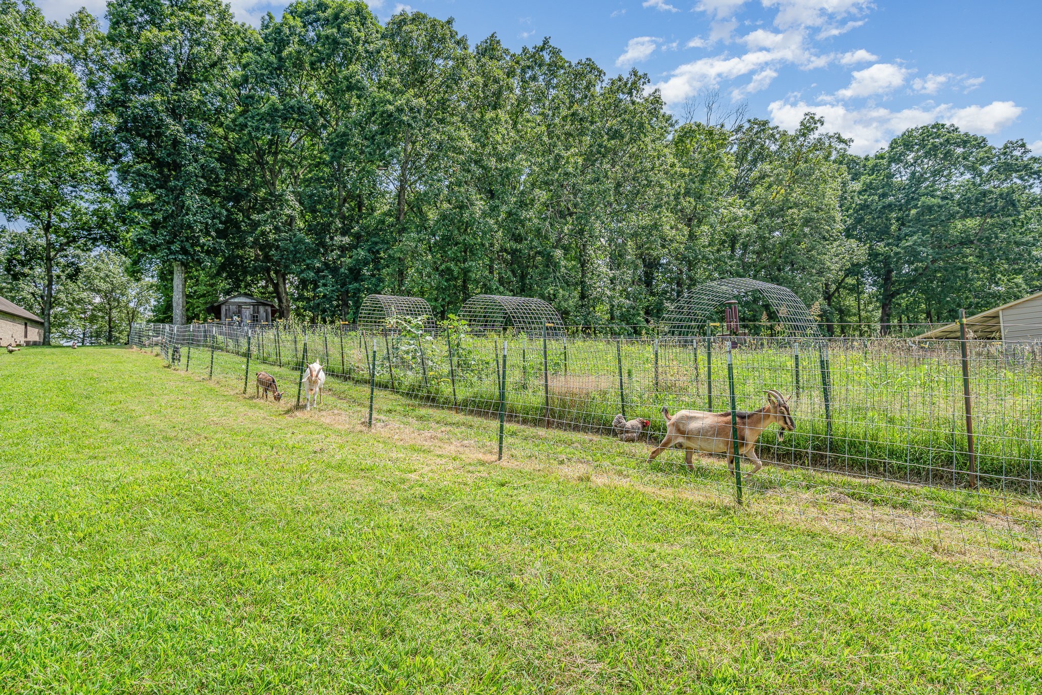 1640 Eno Rd Property Photo 6