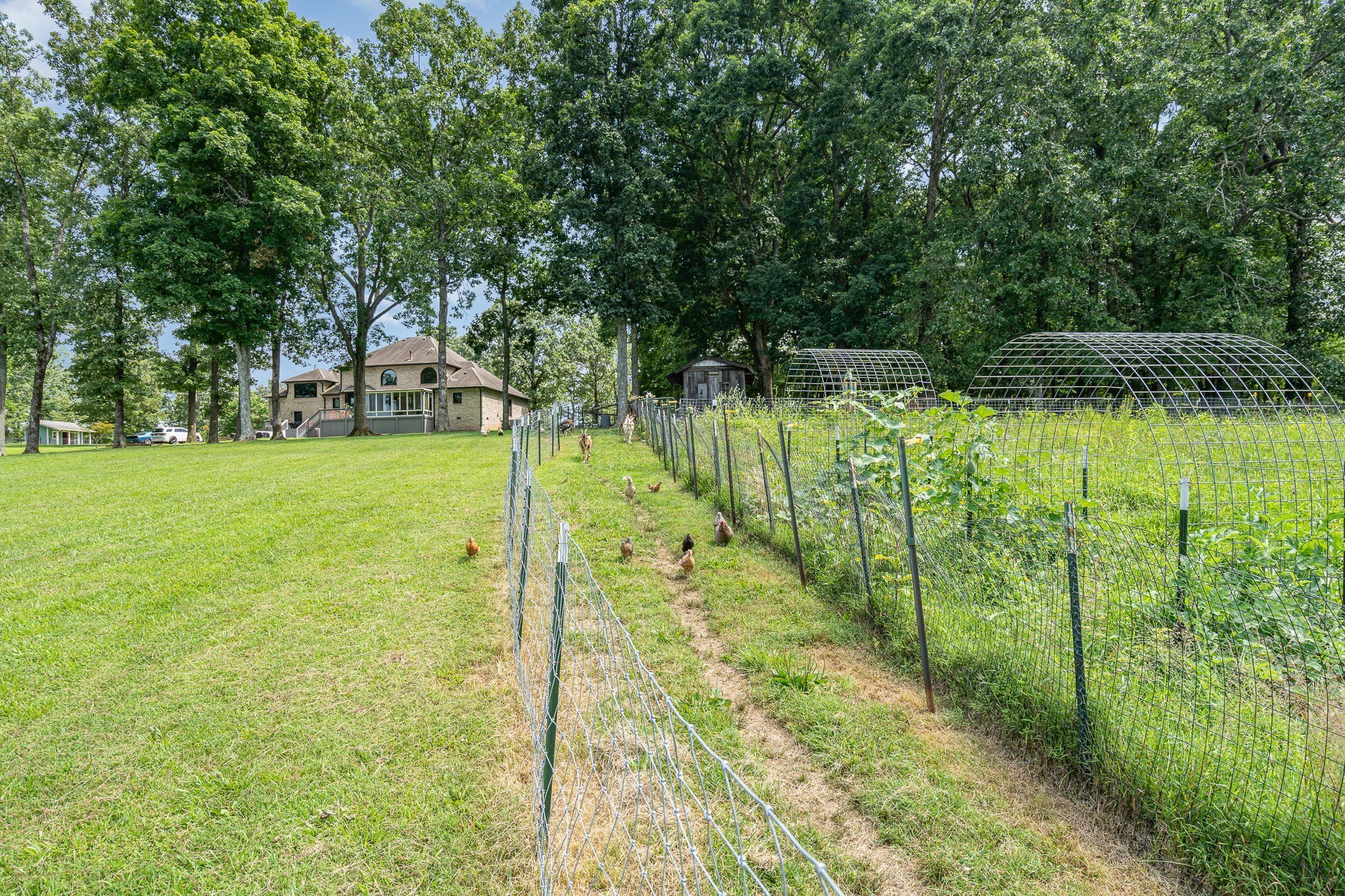 1640 Eno Rd Property Photo 53