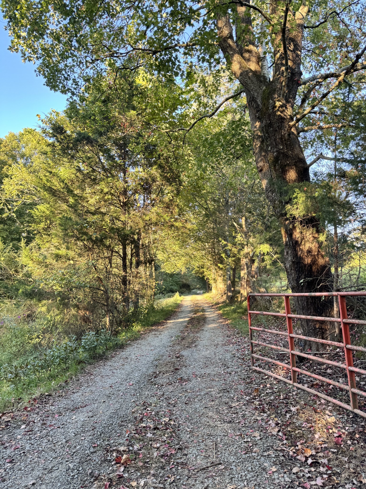 5109 Union Camp Rd Property Photo 4