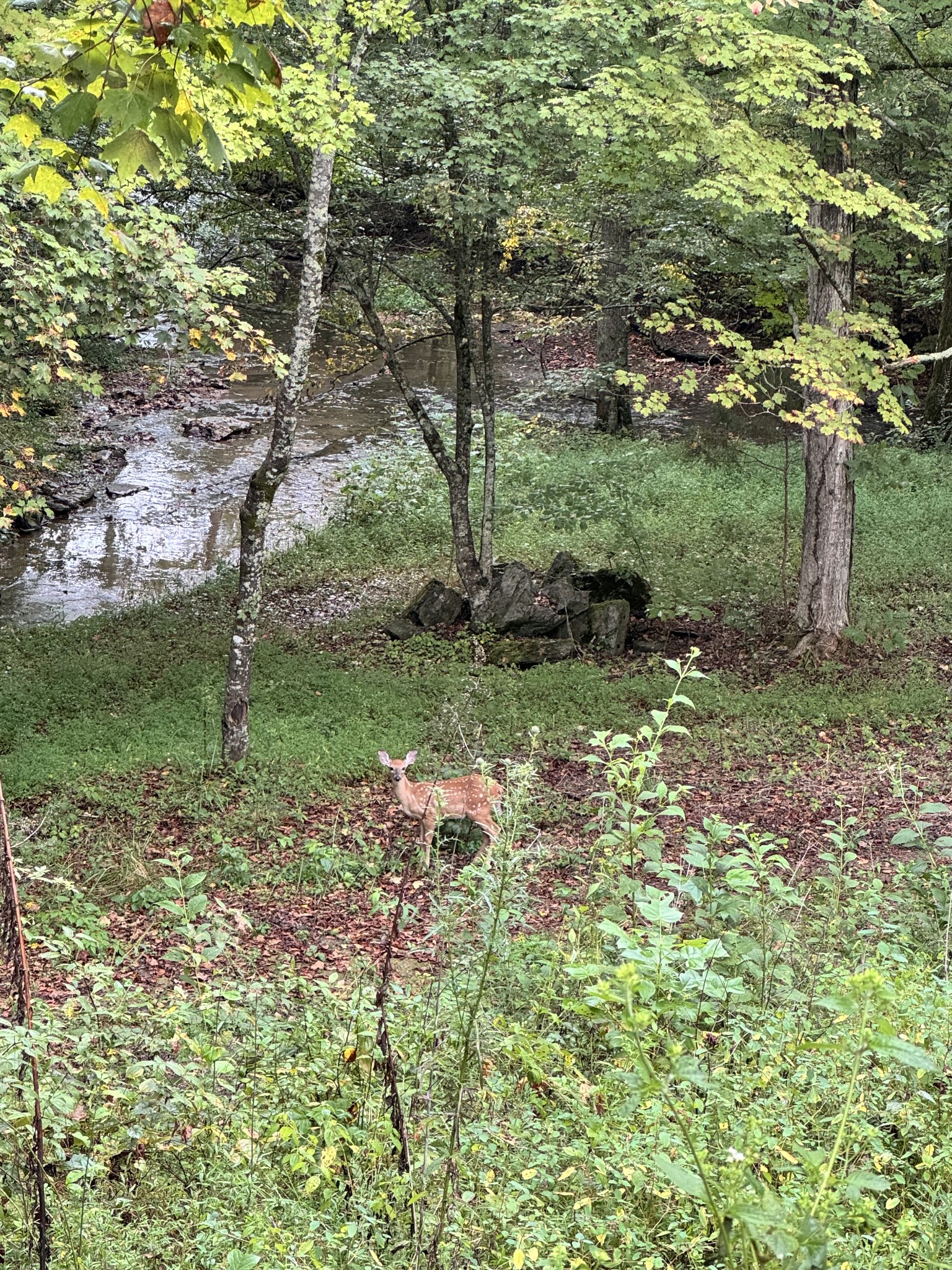 5109 Union Camp Rd Property Photo 5