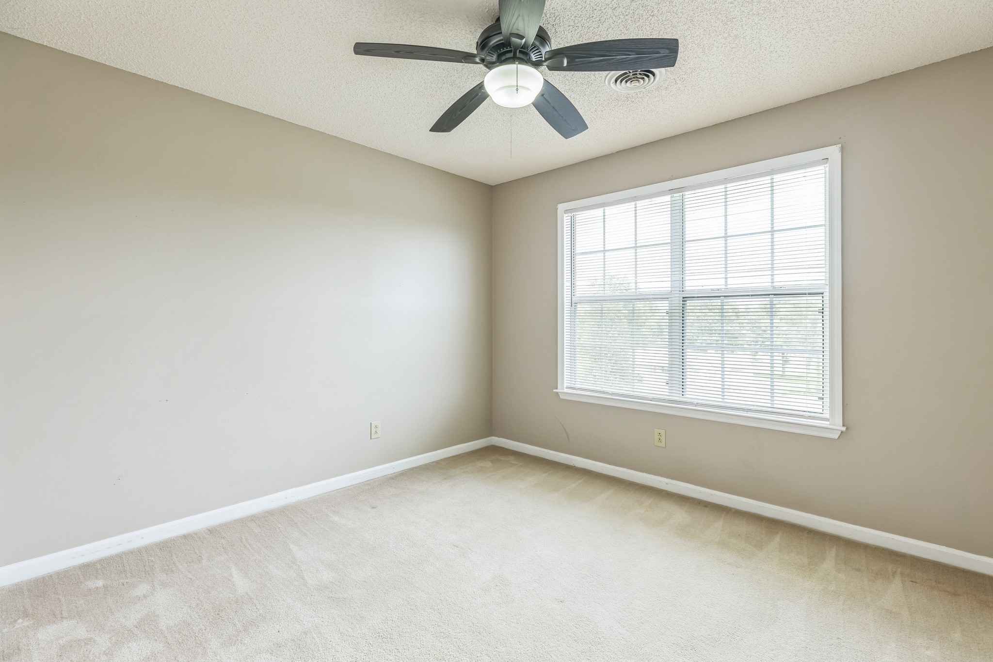 920 Bedford Pl Property Photo 8