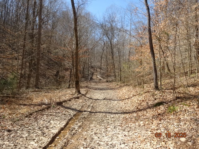 5310 Whites Creek Pike Property Photo 3