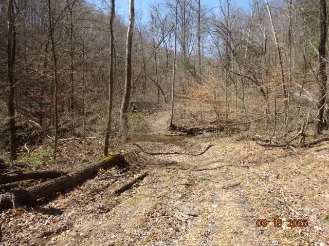 5310 Whites Creek Pike Property Photo 4