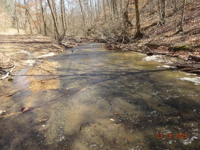 5310 Whites Creek Pike Property Photo 5