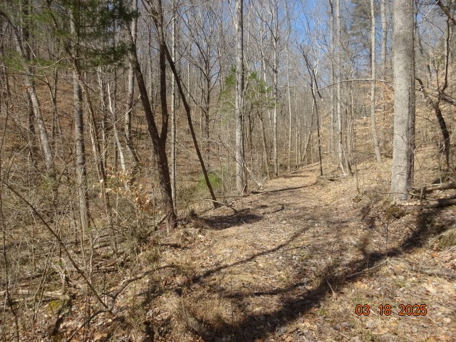 5310 Whites Creek Pike Property Photo 6