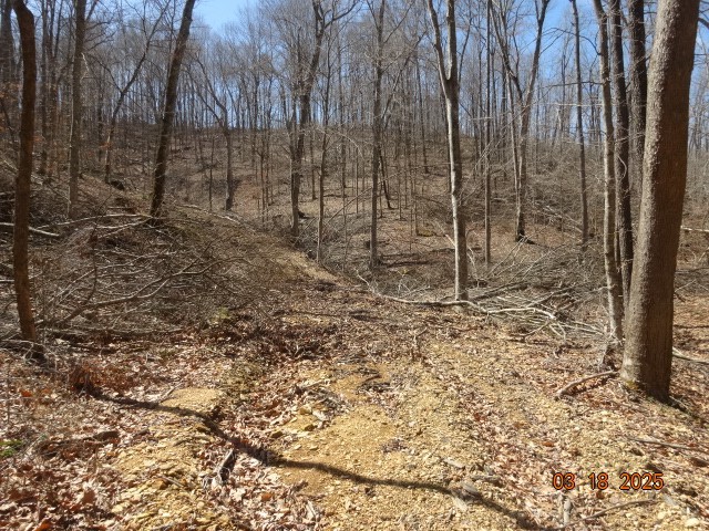 5310 Whites Creek Pike Property Photo 7