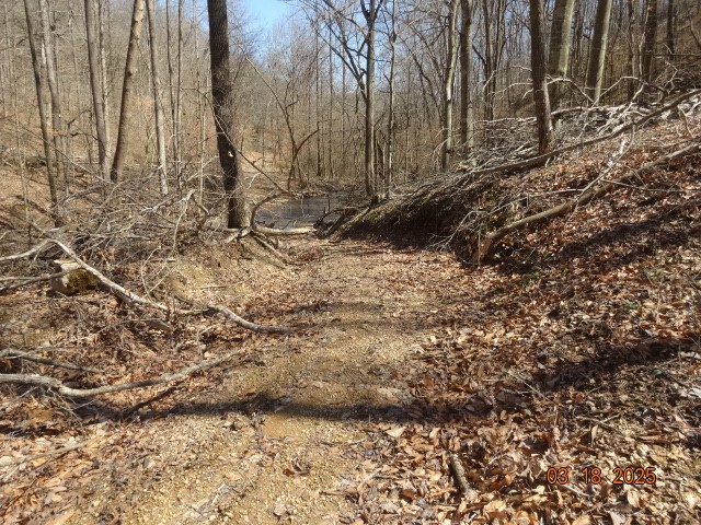 5310 Whites Creek Pike Property Photo 8