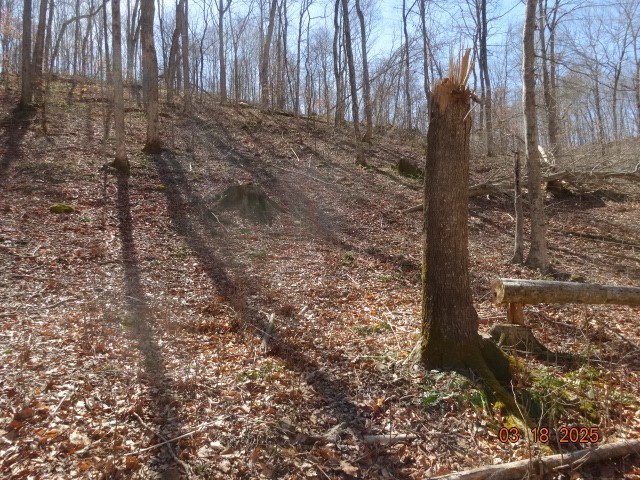 5310 Whites Creek Pike Property Photo 9